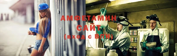 ГАЛЛЮЦИНОГЕННЫЕ ГРИБЫ Алзамай