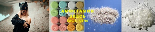 ГАЛЛЮЦИНОГЕННЫЕ ГРИБЫ Алзамай